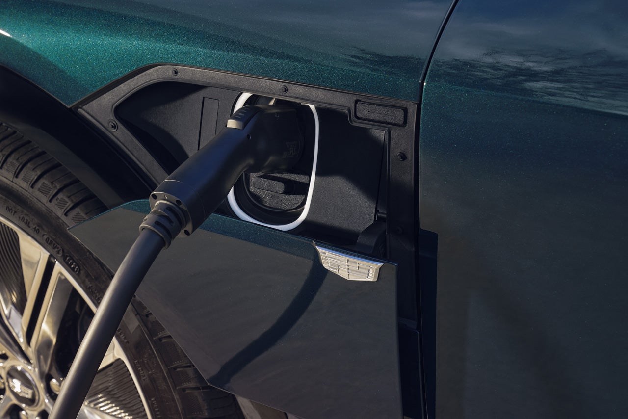 Brown & Wood Cadillac in Greenville NC